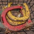 5 Outdoor Games to Play at Your BBQ