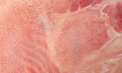 Featured image of post Equilibrium Curing for BBQ Cuts: Safe Percentages and Timing