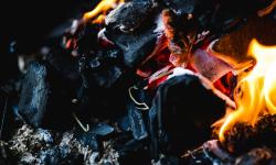 Featured image of post Exploring Regional Wood Preferences and Their Flavor Profiles: Texas, Carolinas, and Kansas City