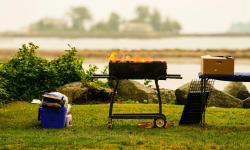 Featured image of post Optimizing Wood Fuel Energy Density and Burn Time for Consistent BBQ Heat Control