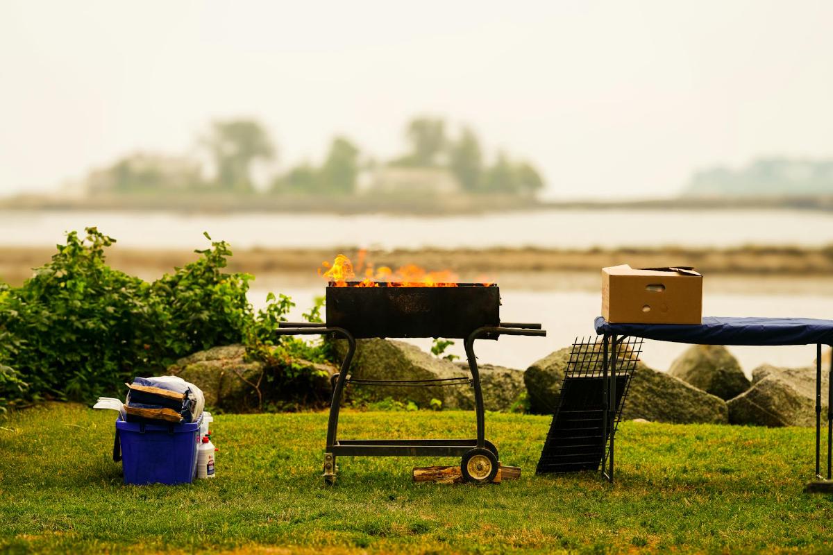 Featured image of post Optimizing Wood Fuel Energy Density and Burn Time for Consistent BBQ Heat Control