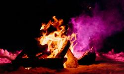Featured image of post Seasoning Your Wood: Target Moisture and Split Size for Blue Smoke