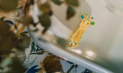 Featured image of post Thermometer Truth: Calibrating and Placing Probes for Reliable Reads