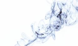 Featured image of post Troubleshooting Bark Issues: From Pale to Bitter on Beef and Pork